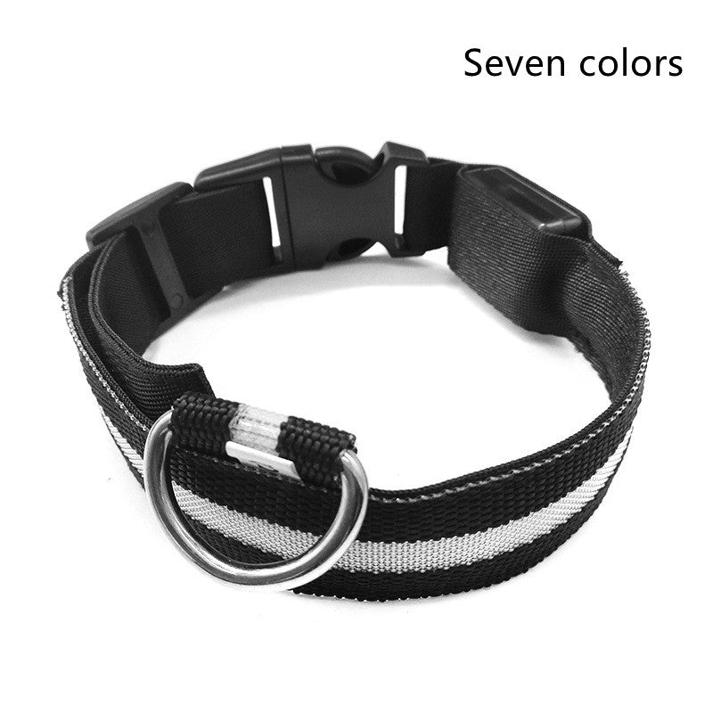 Nylon LED Pet Luminous Collar Night Safety Flashing Glow in Dark Leash