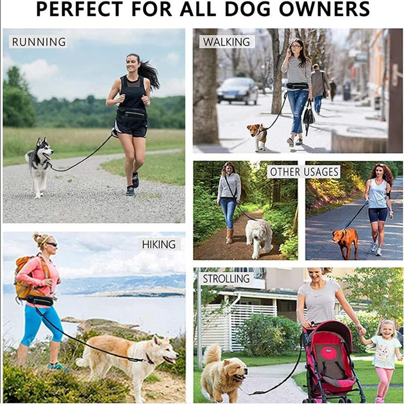 Hands Free Walking And Training Belt Leash With Shock Absorbing Bungee