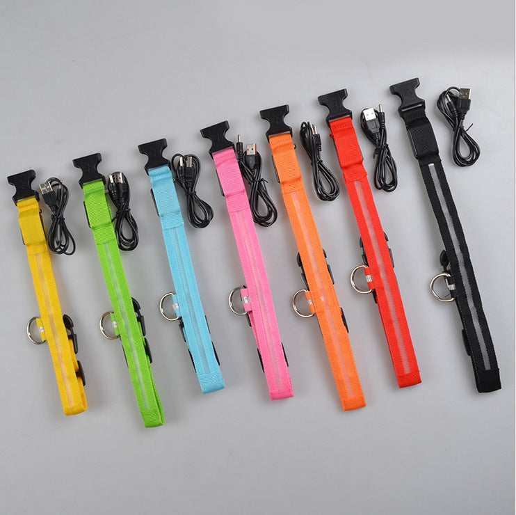 Nylon LED Pet Luminous Collar Night Safety Flashing Glow in Dark Leash