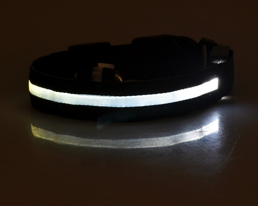 Nylon LED Pet Luminous Collar Night Safety Flashing Glow in Dark Leash