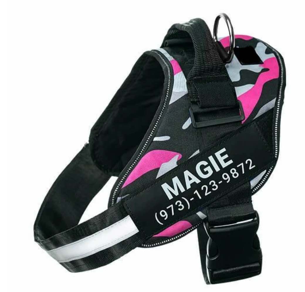 Personalized Custom Reflective Breathable NO PULL Dog Harness
