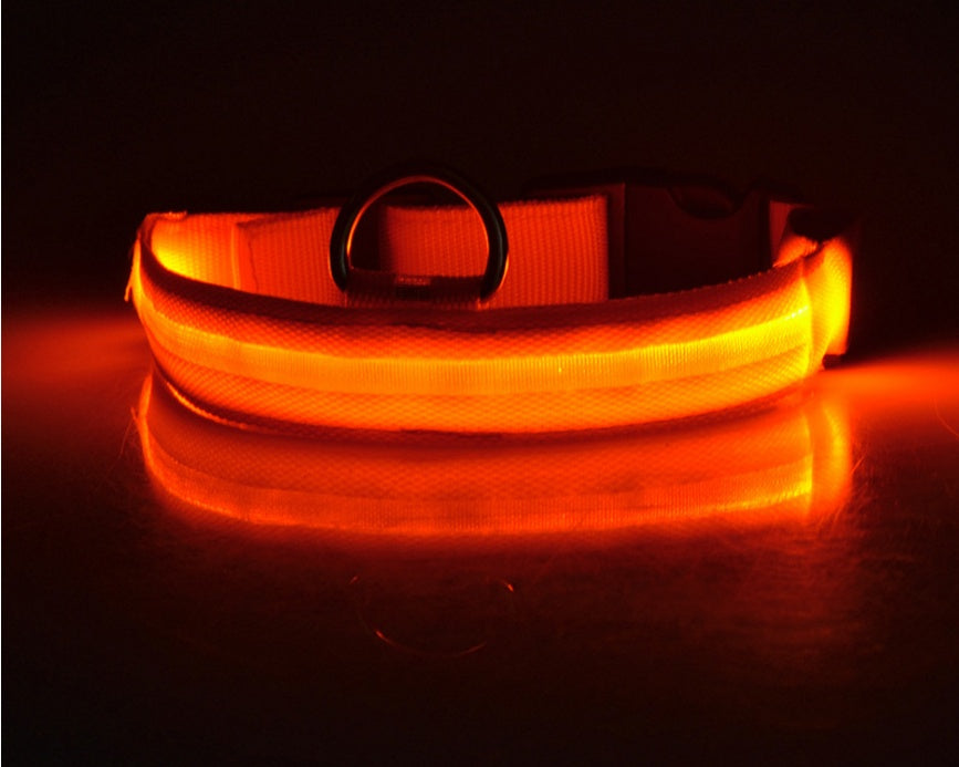 Nylon LED Pet Luminous Collar Night Safety Flashing Glow in Dark Leash