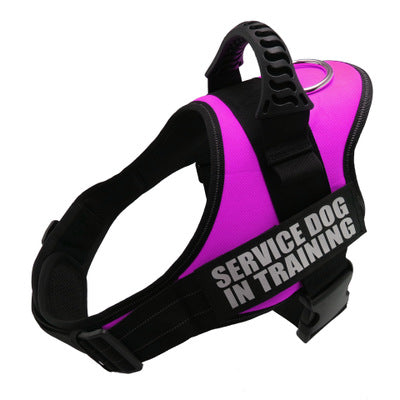 Personalized Custom Reflective Breathable NO PULL Dog Harness