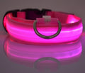 Nylon LED Pet Luminous Collar Night Safety Flashing Glow in Dark Leash