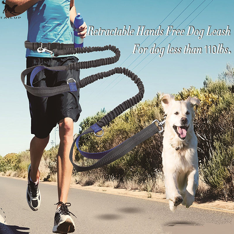 multi-function running reflective pull dog leash
