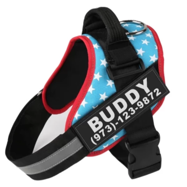 Personalized Custom Reflective Breathable NO PULL Dog Harness