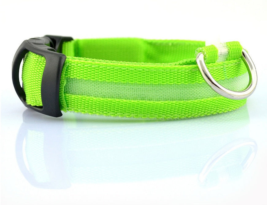 Nylon LED Pet Luminous Collar Night Safety Flashing Glow in Dark Leash