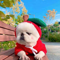 Cute Fruit Dog Clothes For Small Dogs Hoodies Winter Warm Fleece Clothing