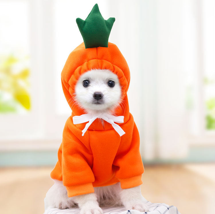Cute Fruit Dog Clothes For Small Dogs Hoodies Winter Warm Fleece Clothing