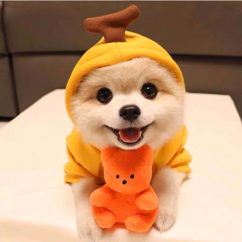 Cute Fruit Dog Clothes For Small Dogs Hoodies Winter Warm Fleece Clothing