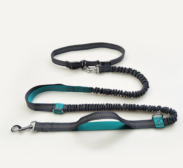 multi-function running reflective pull dog leash