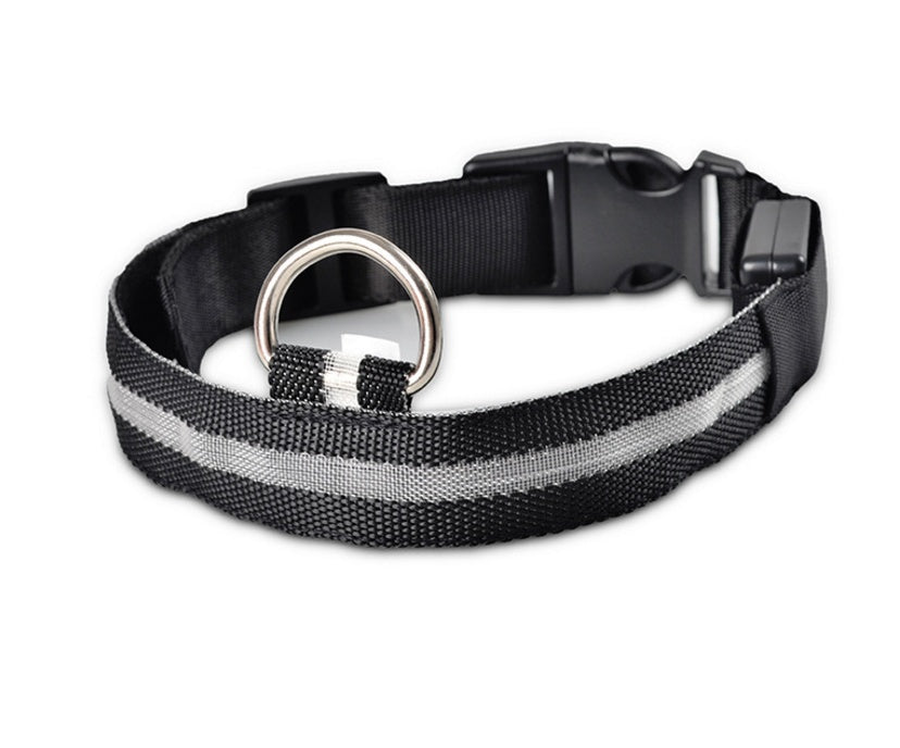 Nylon LED Pet Luminous Collar Night Safety Flashing Glow in Dark Leash