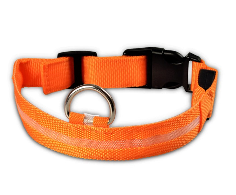Nylon LED Pet Luminous Collar Night Safety Flashing Glow in Dark Leash