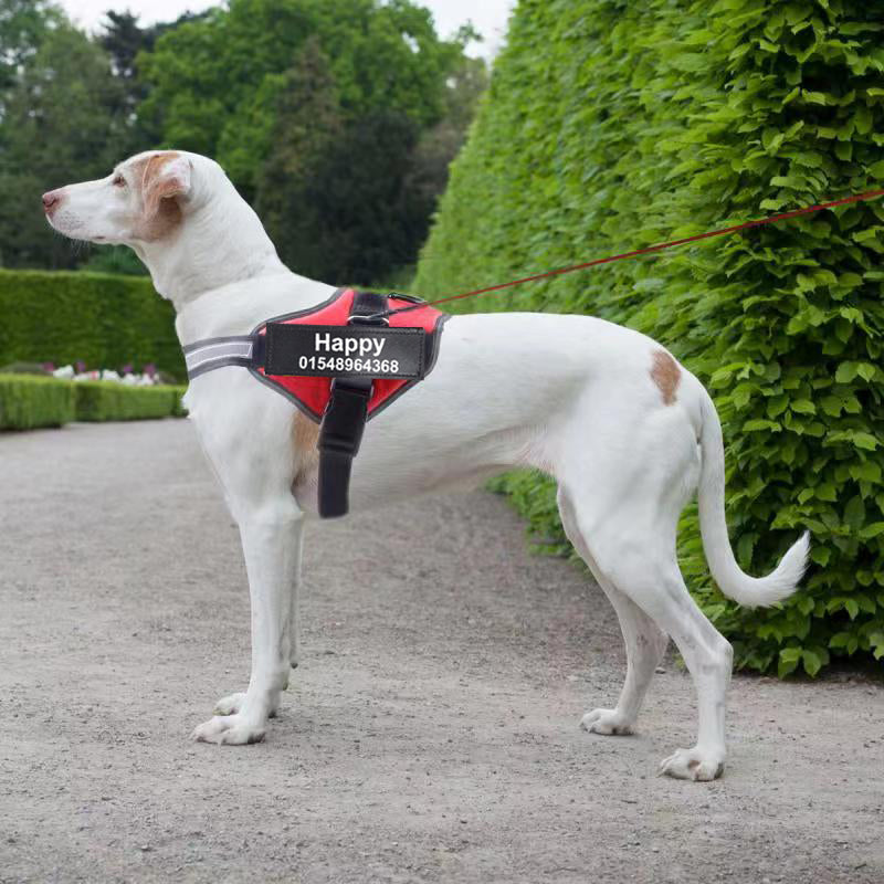 Personalized Custom Reflective Breathable NO PULL Dog Harness