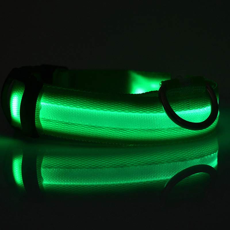 Nylon LED Pet Luminous Collar Night Safety Flashing Glow in Dark Leash