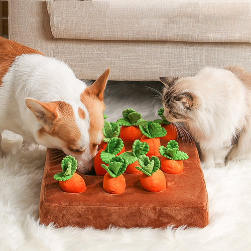Carrot Chew Toy For Dogs Snuffle Mat