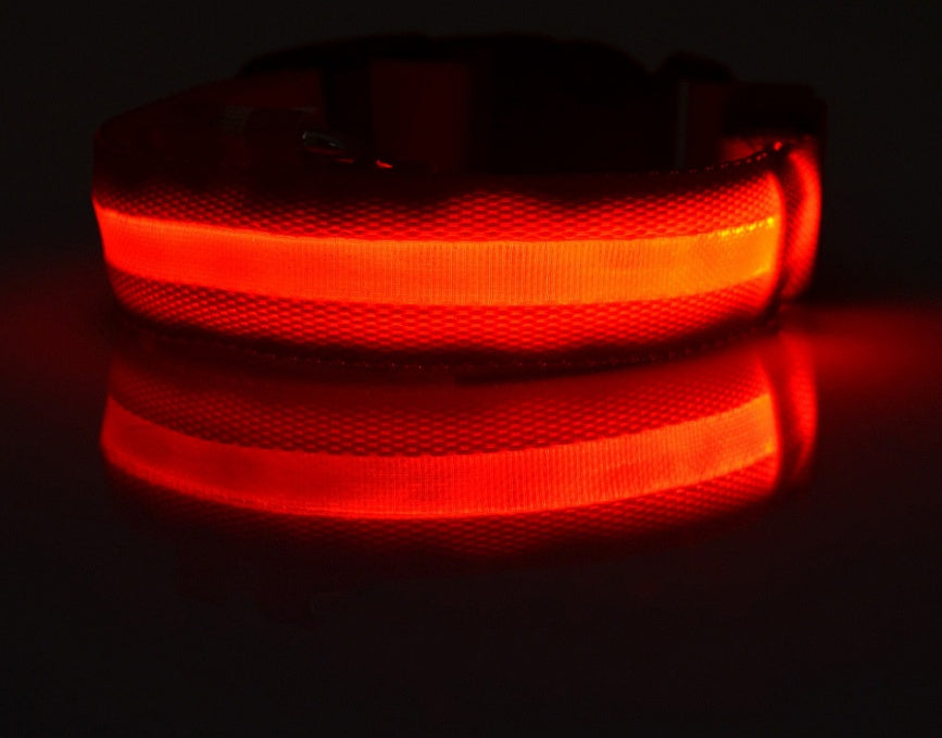 Nylon LED Pet Luminous Collar Night Safety Flashing Glow in Dark Leash