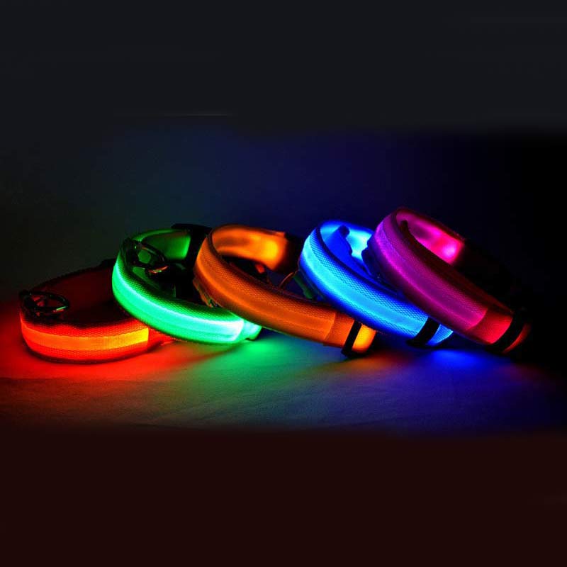 Nylon LED Pet Luminous Collar Night Safety Flashing Glow in Dark Leash