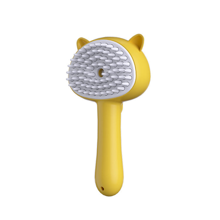 Hair Cleaning Brush With Mist