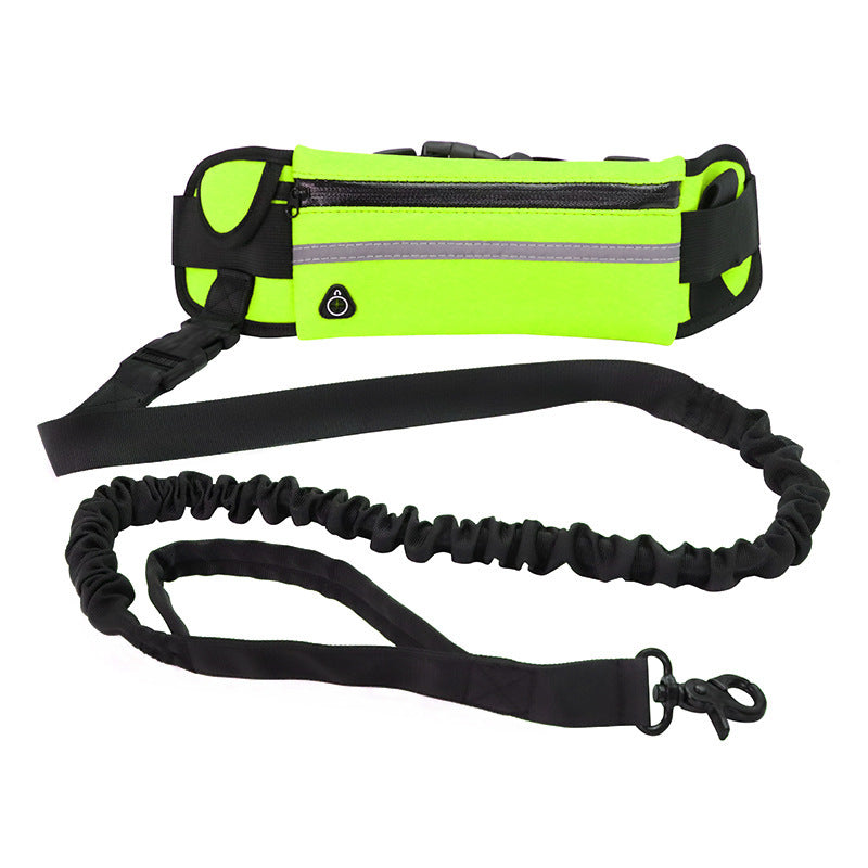 Hands Free Walking And Training Belt Leash With Shock Absorbing Bungee
