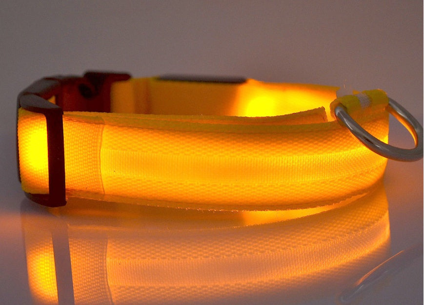 Nylon LED Pet Luminous Collar Night Safety Flashing Glow in Dark Leash