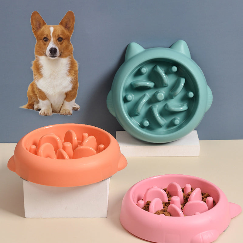 Pet Anti Choking Slow Feeder Bowl