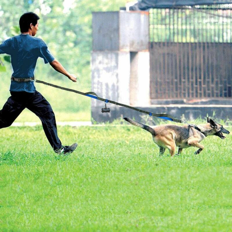 multi-function running reflective pull dog leash