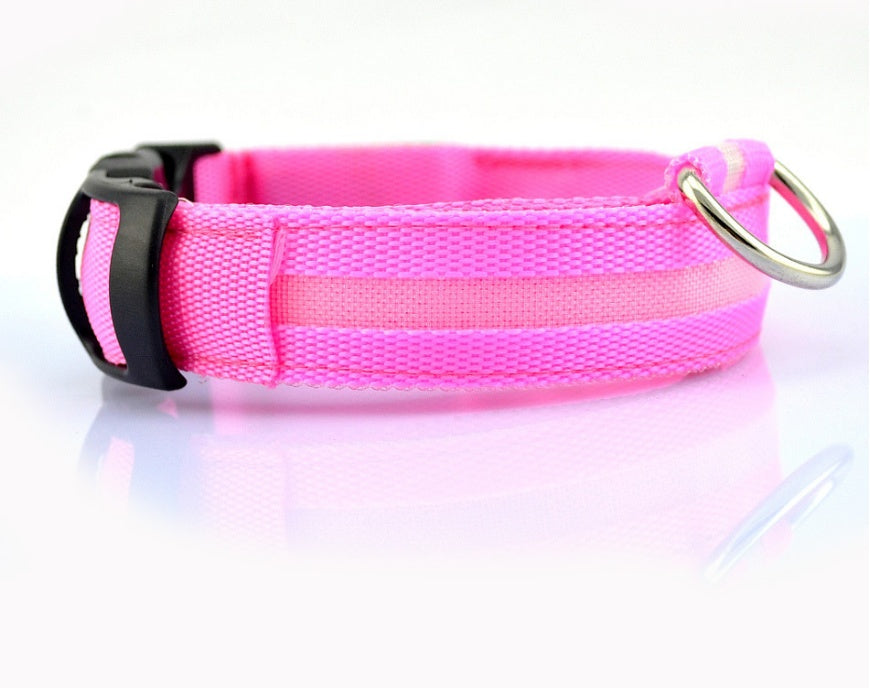 Nylon LED Pet Luminous Collar Night Safety Flashing Glow in Dark Leash