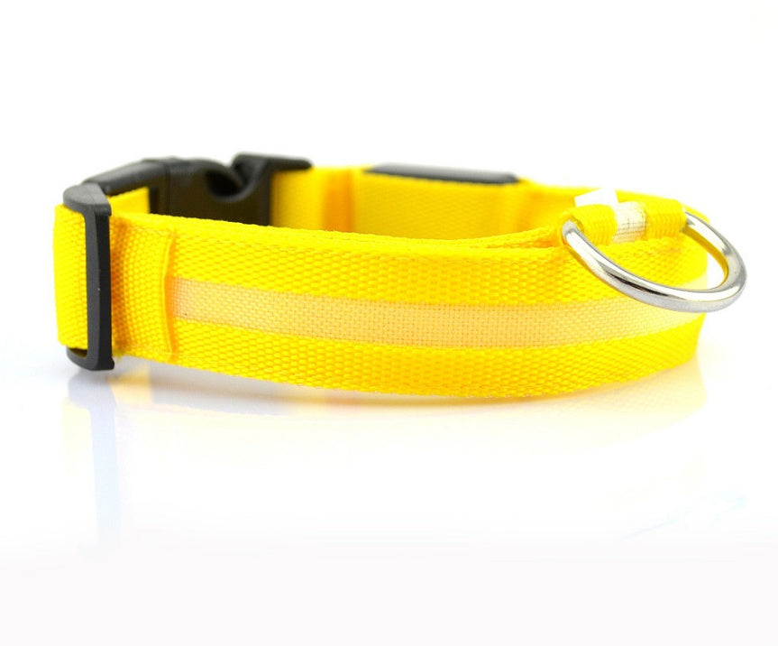 Nylon LED Pet Luminous Collar Night Safety Flashing Glow in Dark Leash