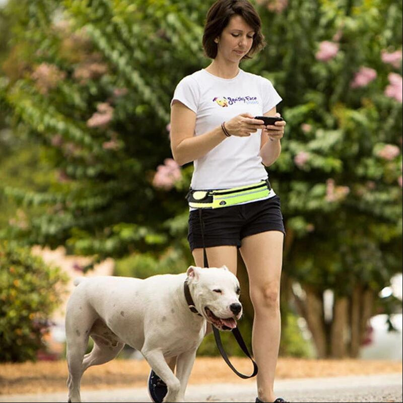 Hands Free Walking And Training Belt Leash With Shock Absorbing Bungee