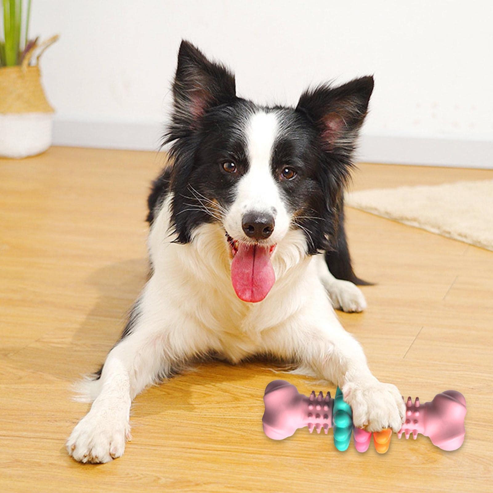 Dog Chew Bone Teeth Cleaning Toys Indestructible