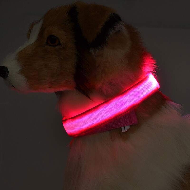 Nylon LED Pet Luminous Collar Night Safety Flashing Glow in Dark Leash