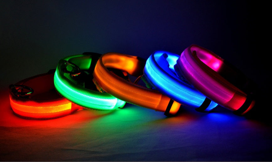 Nylon LED Pet Luminous Collar Night Safety Flashing Glow in Dark Leash