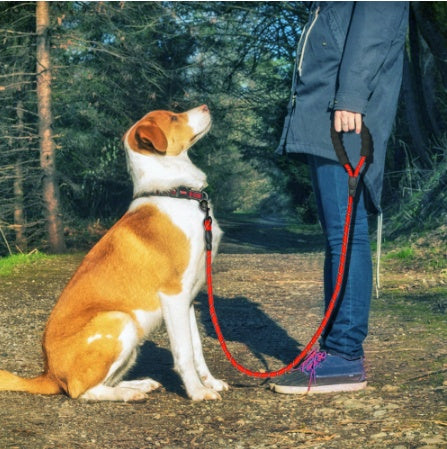 Reflective Dog Nylon Leash Rope For Small Medium Large Dogs Walking Training