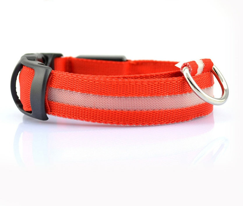 Nylon LED Pet Luminous Collar Night Safety Flashing Glow in Dark Leash