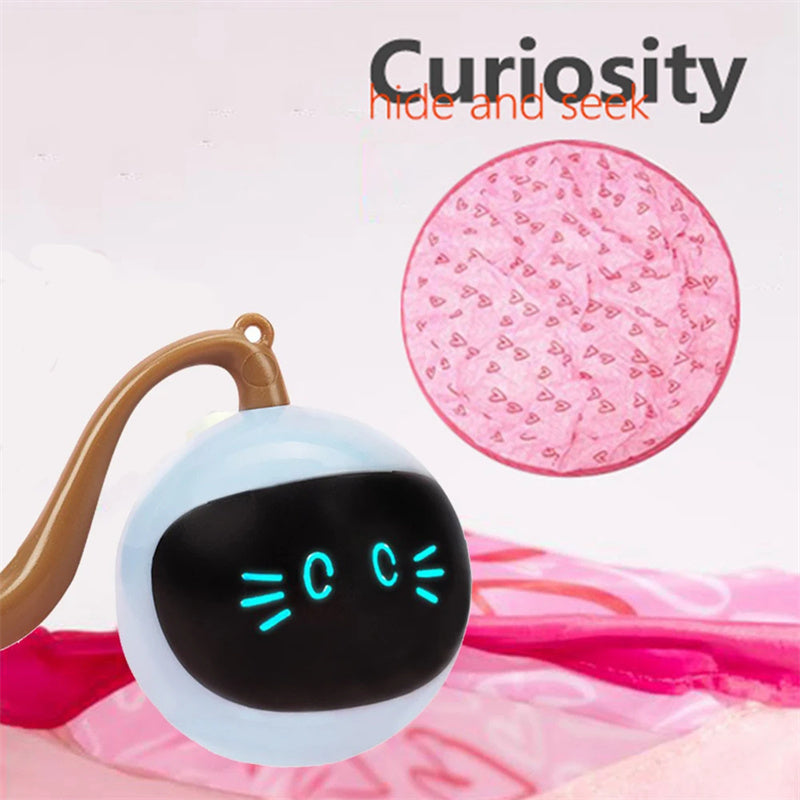 Automatic Undercover Moving Interactive Toy For Indoor Pets