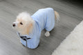 Quick-drying Absorbent Bathrobe Towel Dog Towel