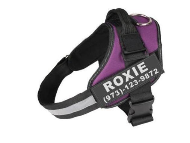 Personalized Custom Reflective Breathable NO PULL Dog Harness
