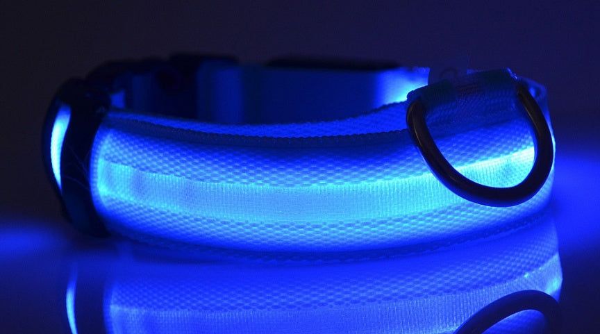 Nylon LED Pet Luminous Collar Night Safety Flashing Glow in Dark Leash