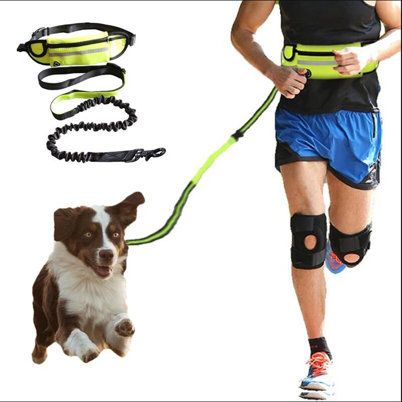 Hands Free Walking And Training Belt Leash With Shock Absorbing Bungee