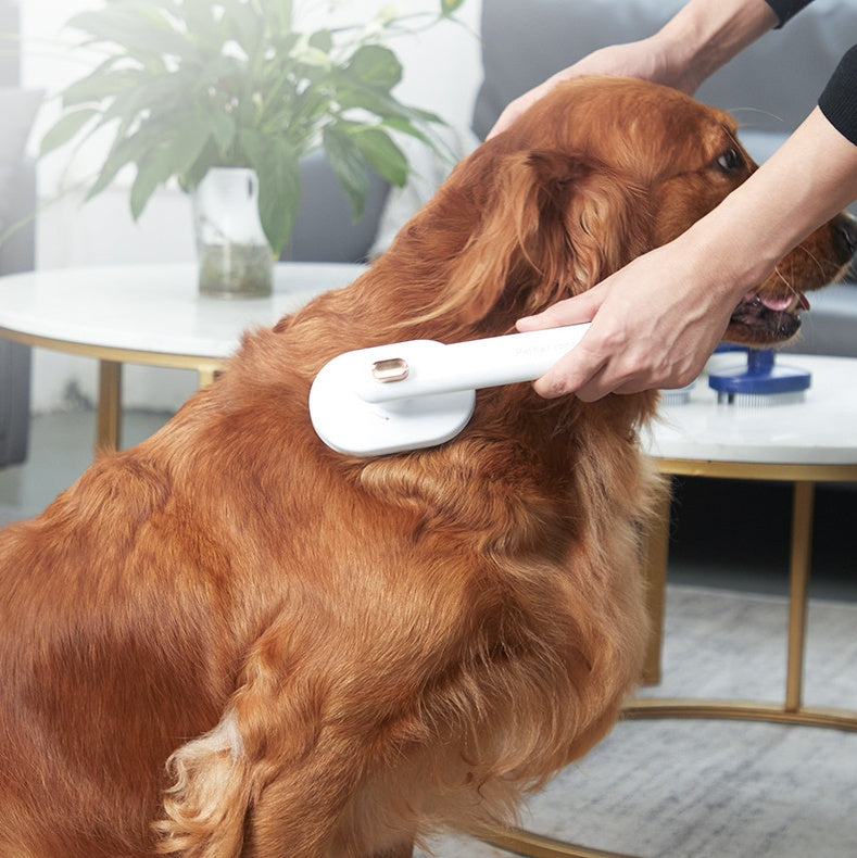 Pet Hair Brush Comb To Remove Floating Hair