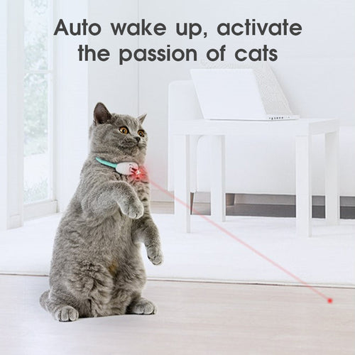 Automatic Cat Laser Teasing Collar USB Charging