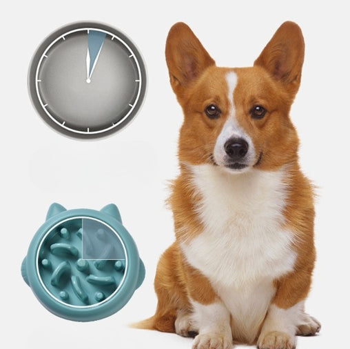 Pet Anti Choking Slow Feeder Bowl