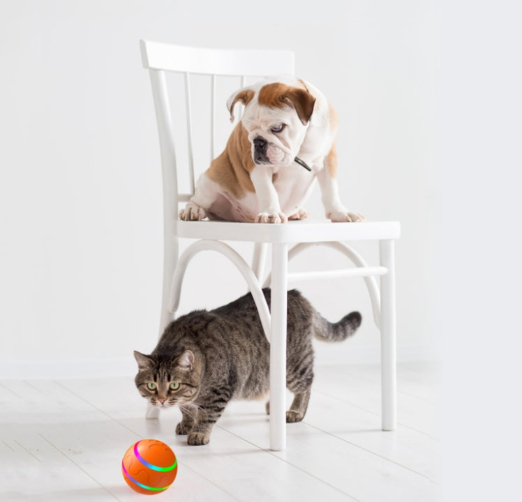Cat Wicked Intelligent USB Self Rotating Ball