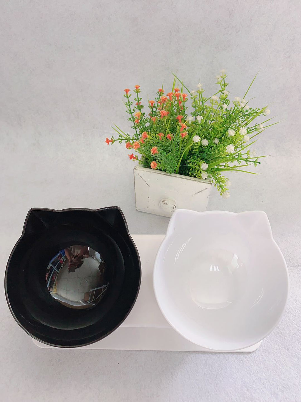 Cat Double Food Bowl Protects Cervical Vertebra