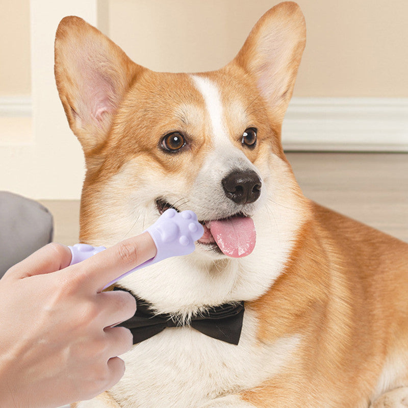 Small Dog Finger Toothbrush