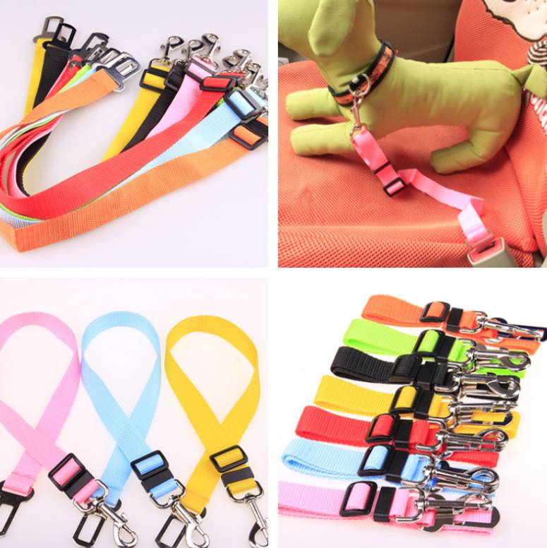Pet Fixed Strap Car Leash