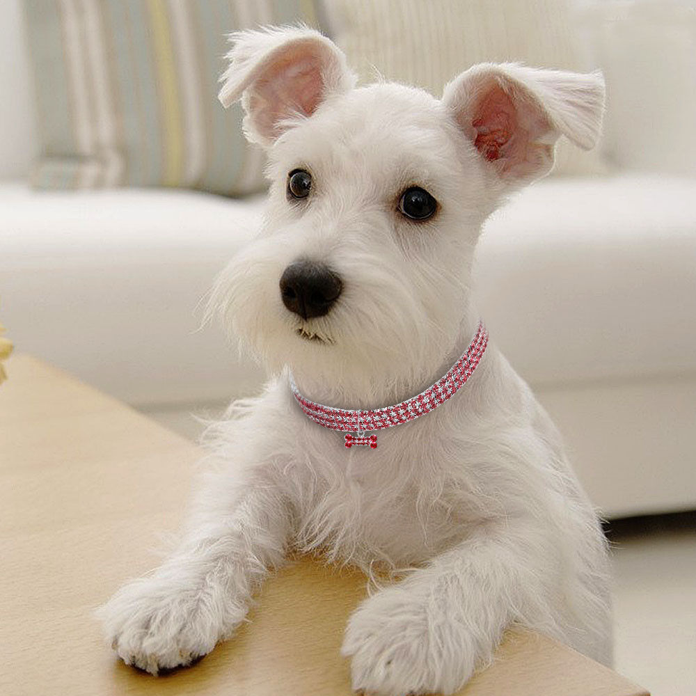 Bling Rhinestone Crystal Dog Collar