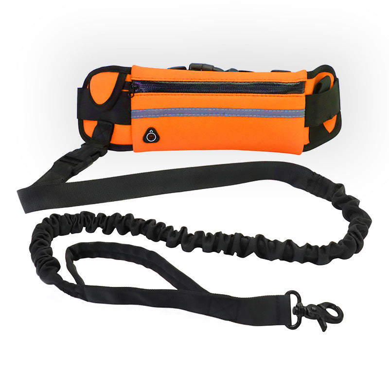 Hands Free Walking And Training Belt Leash With Shock Absorbing Bungee