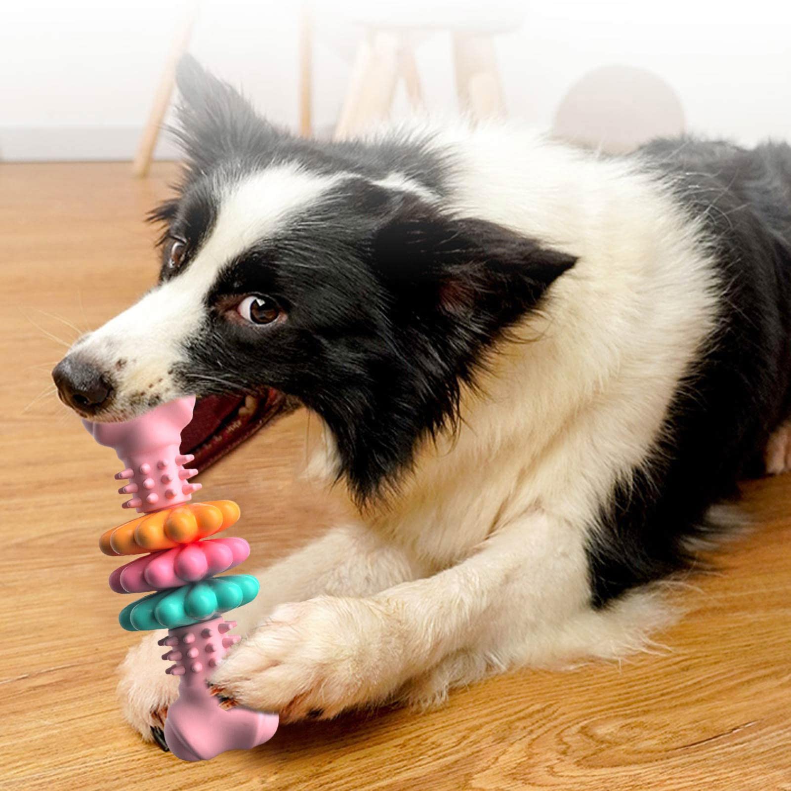 Dog Chew Bone Teeth Cleaning Toys Indestructible
